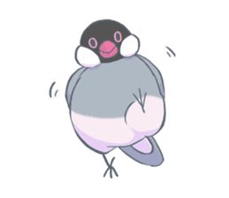 BirdParty sticker #12774853