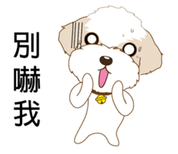 Shih Tzu Club sticker #12775597