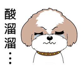 Shih Tzu Club sticker #12775609