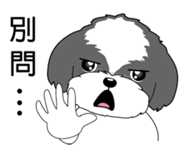 Shih Tzu Club sticker #12775611