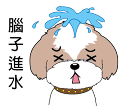 Shih Tzu Club sticker #12775613