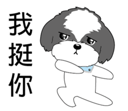 Shih Tzu Club sticker #12775614