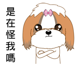 Shih Tzu Club sticker #12775616