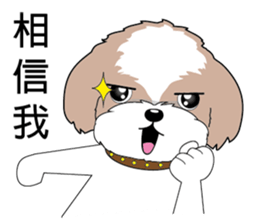 Shih Tzu Club sticker #12775619