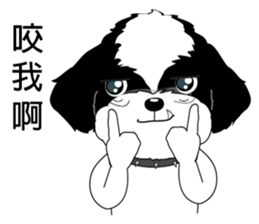 Shih Tzu Club sticker #12775624
