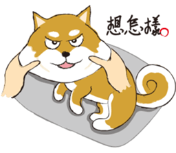 a cute dog-2 sticker #12777798