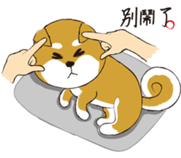 a cute dog-2 sticker #12777799