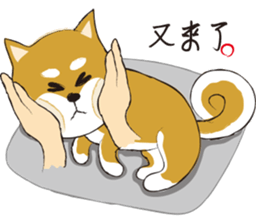 a cute dog-2 sticker #12777801