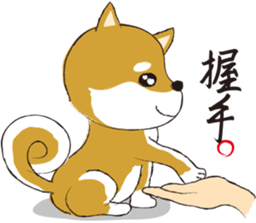 a cute dog-2 sticker #12777809
