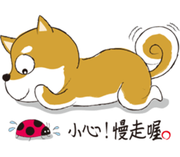 a cute dog-2 sticker #12777820