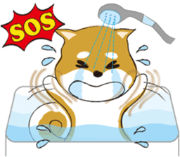 a cute dog-2 sticker #12777823