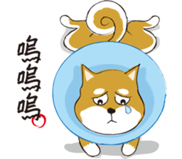 a cute dog-2 sticker #12777835