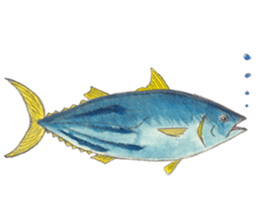 shark Sakai and Zu'friends of Aquarium sticker #12780788