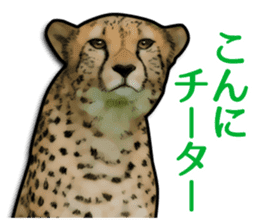 Puns on Cat Family sticker #12781583