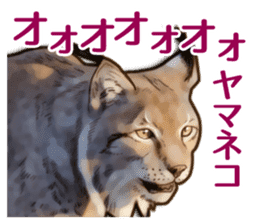 Puns on Cat Family sticker #12781588