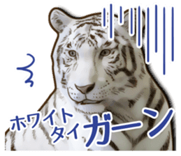 Puns on Cat Family sticker #12781592