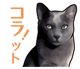 Puns on Cat Family sticker #12781593