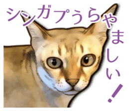 Puns on Cat Family sticker #12781596