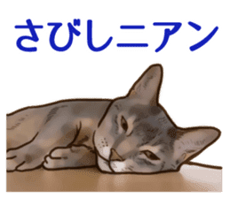 Puns on Cat Family sticker #12781597