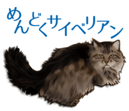 Puns on Cat Family sticker #12781604