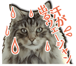 Puns on Cat Family sticker #12781609