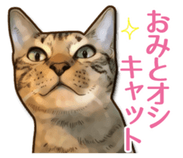 Puns on Cat Family sticker #12781610