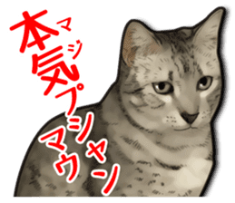 Puns on Cat Family sticker #12781611