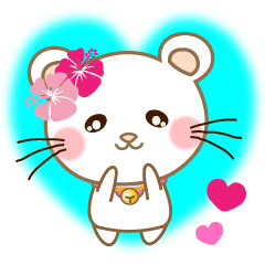 Panda cat, Pan'nya hot day and summer