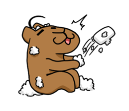 You can do it capybara!! sticker #12783112