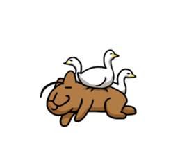 You can do it capybara!! sticker #12783121