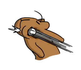 You can do it capybara!! sticker #12783130