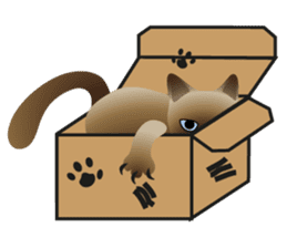 siamese cats sticker #12783414