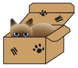 siamese cats sticker #12783415