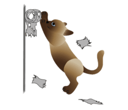 siamese cats sticker #12783418
