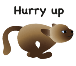 siamese cats sticker #12783421