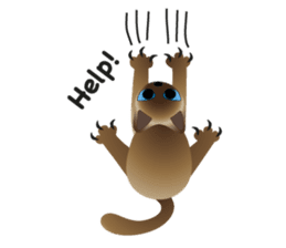 siamese cats sticker #12783427