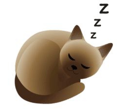 siamese cats sticker #12783431