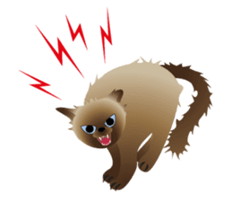 siamese cats sticker #12783452