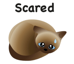 siamese cats sticker #12783453