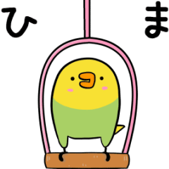 Annoying parakeet with motion!