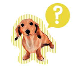 Dachshund real sticker sticker #12786032