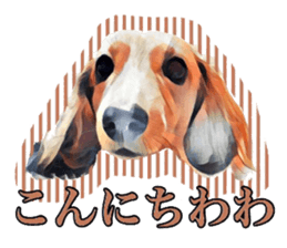 Dachshund real sticker sticker #12786034