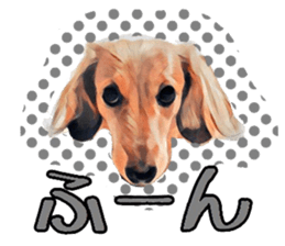 Dachshund real sticker sticker #12786040