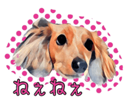 Dachshund real sticker sticker #12786041