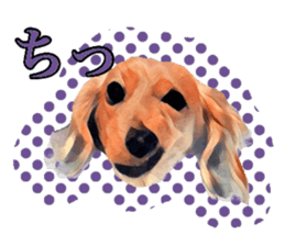 Dachshund real sticker sticker #12786042