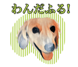 Dachshund real sticker sticker #12786043