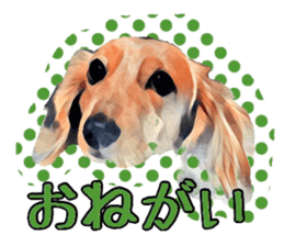 Dachshund real sticker sticker #12786046