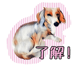 Dachshund real sticker sticker #12786048