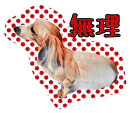 Dachshund real sticker sticker #12786049