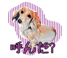 Dachshund real sticker sticker #12786051